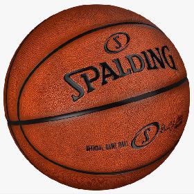 Basketball Spalding